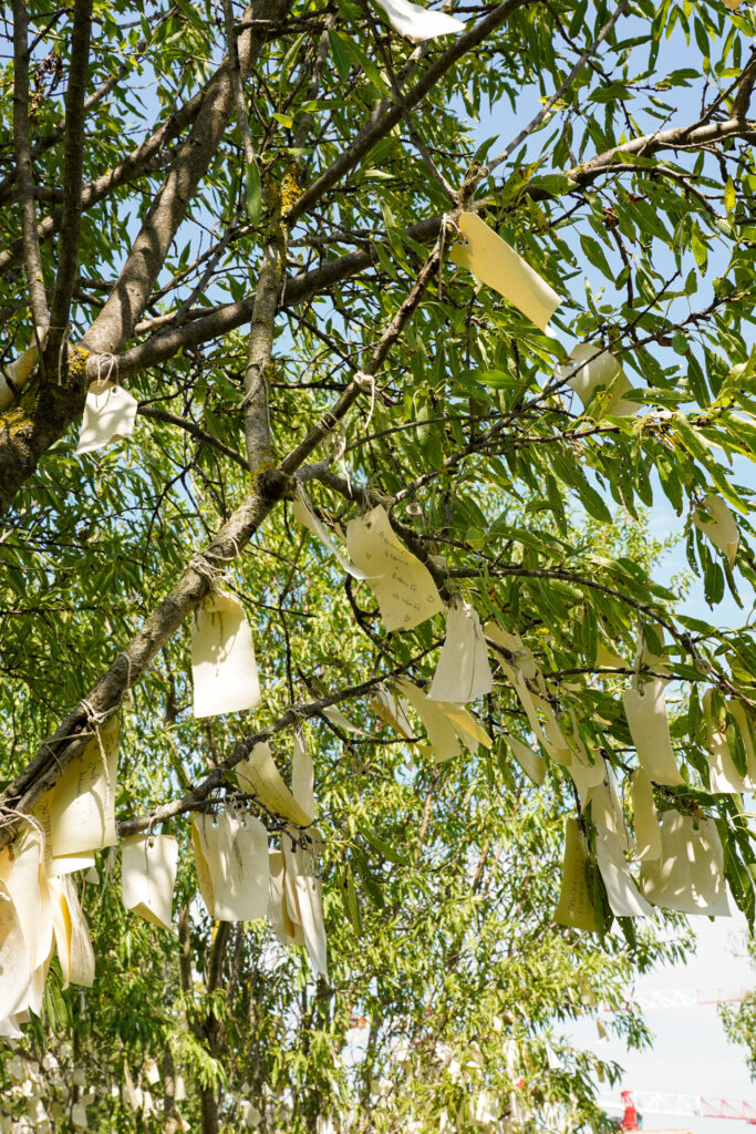 chateau la coste arbres voeux yoko ono